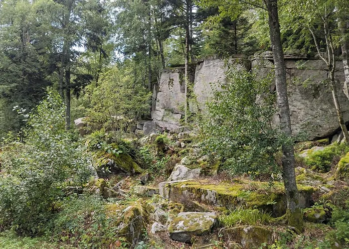 Waldhorn Dobel