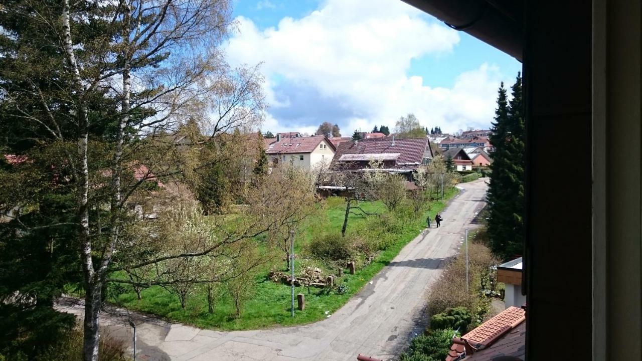 Apartment Waldhorn *