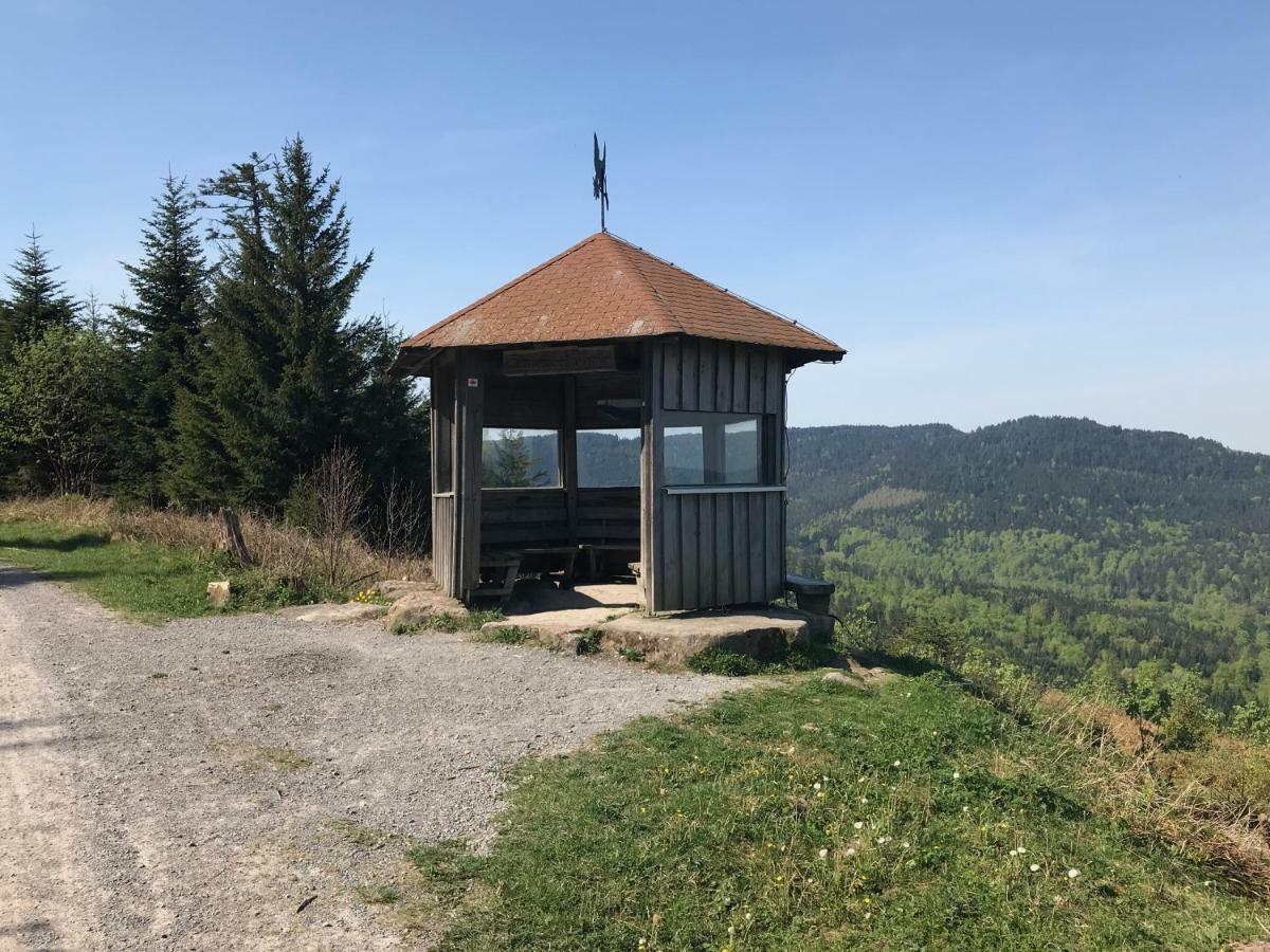 Apartment Waldhorn Dobel