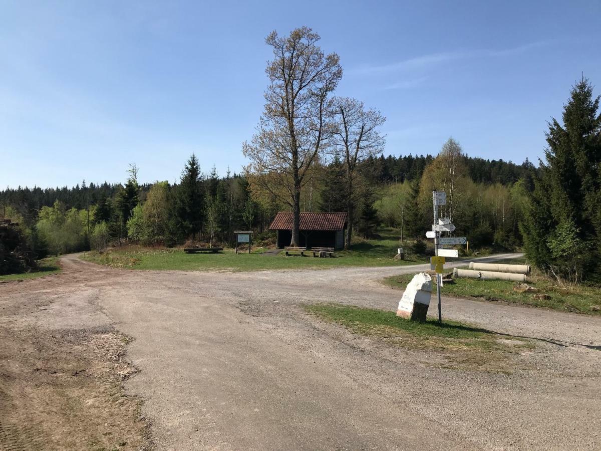 Waldhorn Apartment